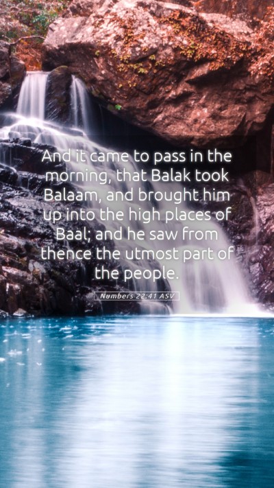 Picture 05 - Numbers 22:41 ASV Mobile Phone Wallpaper - And it came to pass in the morning, that Balak - Mobile Bible Verse Wallpaper