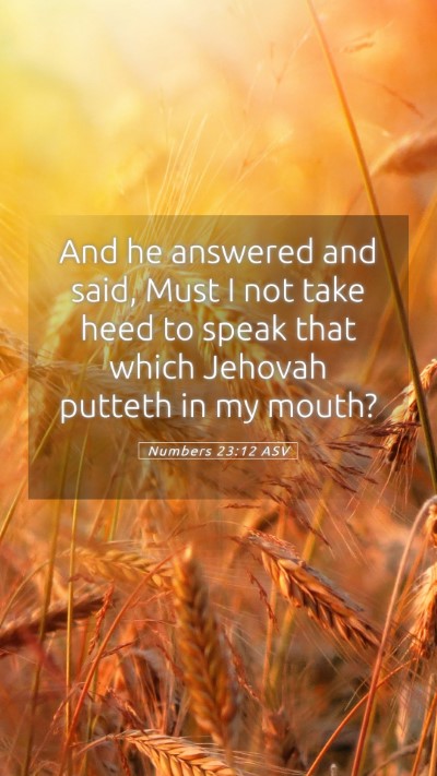 Picture 05 - Numbers 23:12 ASV Mobile Phone Wallpaper - And he answered and said, Must I not take heed to - Mobile Bible Verse Wallpaper