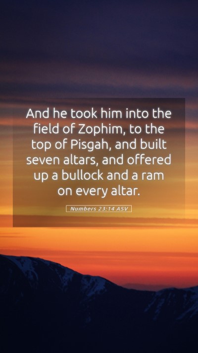 Picture 05 - Numbers 23:14 ASV Mobile Phone Wallpaper - And he took him into the field of Zophim, to the - Mobile Bible Verse Wallpaper