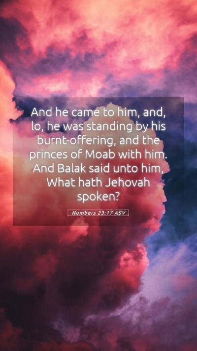 Picture 05 - Numbers 23:17 ASV Mobile Phone Wallpaper - And he came to him, and, lo, he was standing by - Mobile Bible Verse Wallpaper