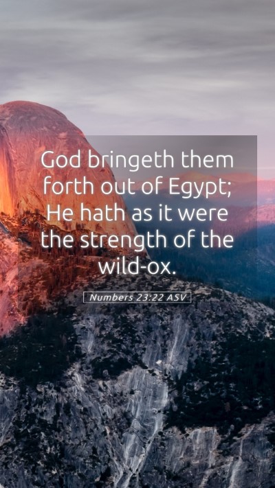 Picture 05 - Numbers 23:22 ASV Mobile Phone Wallpaper - God bringeth them forth out of Egypt; He hath as - Mobile Bible Verse Wallpaper