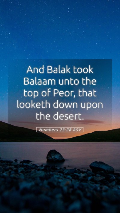 Picture 05 - Numbers 23:28 ASV Mobile Phone Wallpaper - And Balak took Balaam unto the top of Peor, that - Mobile Bible Verse Wallpaper
