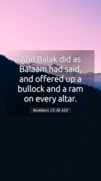 Picture 05 - Numbers 23:30 ASV Mobile Phone Wallpaper - And Balak did as Balaam had said, and offered up - Mobile Bible Verse Wallpaper