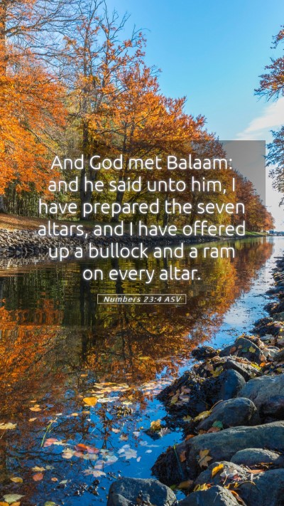 Picture 05 - Numbers 23:4 ASV Mobile Phone Wallpaper - And God met Balaam: and he said unto him, I have - Mobile Bible Verse Wallpaper