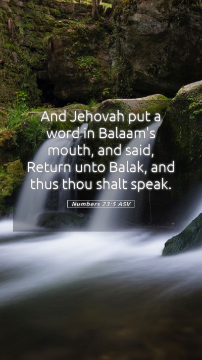 Picture 05 - Numbers 23:5 ASV Mobile Phone Wallpaper - And Jehovah put a word in Balaam's mouth, and - Mobile Bible Verse Wallpaper