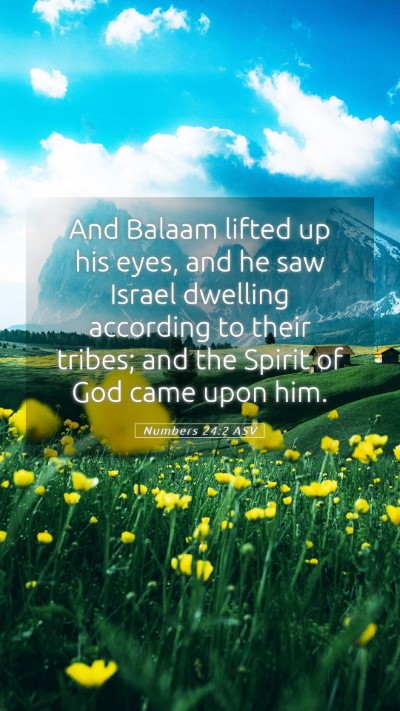 Picture 05 - Numbers 24:2 ASV Mobile Phone Wallpaper - And Balaam lifted up his eyes, and he saw Israel - Mobile Bible Verse Wallpaper