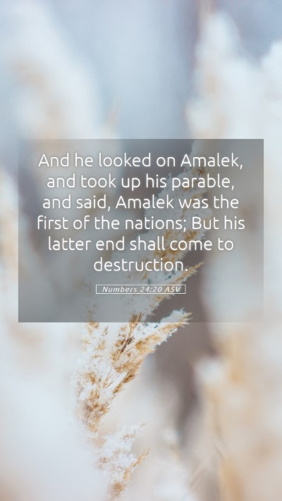 Picture 05 - Numbers 24:20 ASV Mobile Phone Wallpaper - And he looked on Amalek, and took up his parable, - Mobile Bible Verse Wallpaper