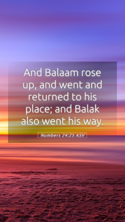 Picture 05 - Numbers 24:25 ASV Mobile Phone Wallpaper - And Balaam rose up, and went and returned to his - Mobile Bible Verse Wallpaper