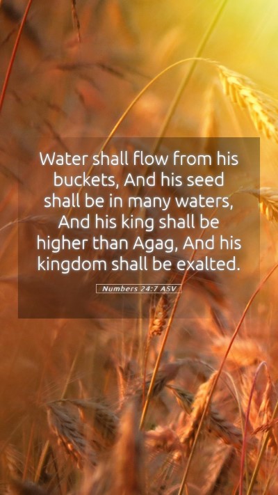 Picture 05 - Numbers 24:7 ASV Mobile Phone Wallpaper - Water shall flow from his buckets, And his seed - Mobile Bible Verse Wallpaper