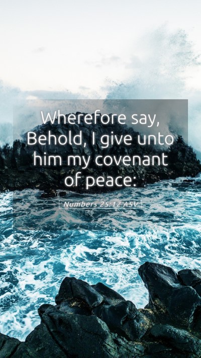 Picture 05 - Numbers 25:12 ASV Mobile Phone Wallpaper - Wherefore say, Behold, I give unto him my - Mobile Bible Verse Wallpaper