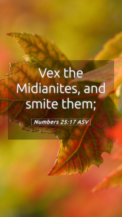 Picture 05 - Numbers 25:17 ASV Mobile Phone Wallpaper - Vex the Midianites, and smite - Mobile Bible Verse Wallpaper