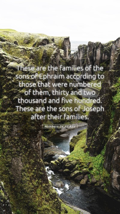 Picture 05 - Numbers 26:37 ASV Mobile Phone Wallpaper - These are the families of the sons of Ephraim - Mobile Bible Verse Wallpaper