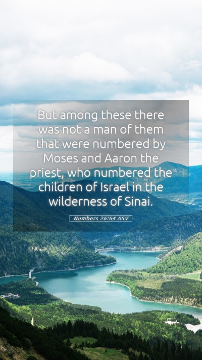 Picture 05 - Numbers 26:64 ASV Mobile Phone Wallpaper - But among these there was not a man of them that - Mobile Bible Verse Wallpaper