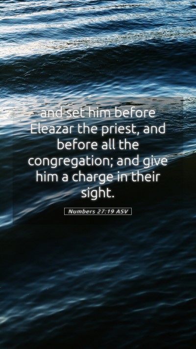 Picture 05 - Numbers 27:19 ASV Mobile Phone Wallpaper - and set him before Eleazar the priest, and before - Mobile Bible Verse Wallpaper