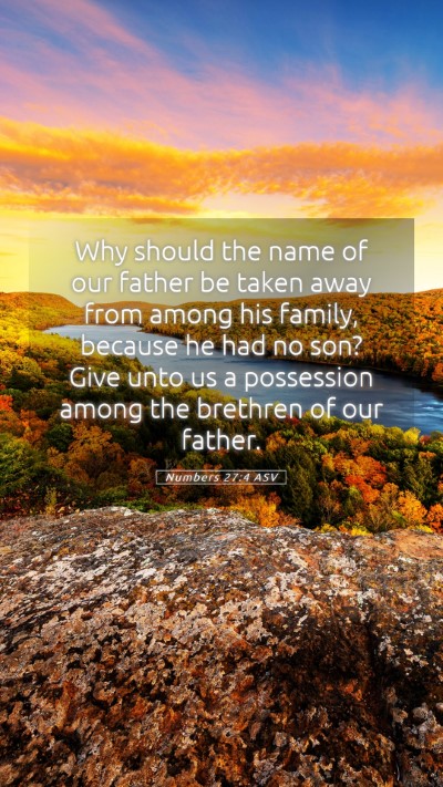 Picture 05 - Numbers 27:4 ASV Mobile Phone Wallpaper - Why should the name of our father be taken away - Mobile Bible Verse Wallpaper