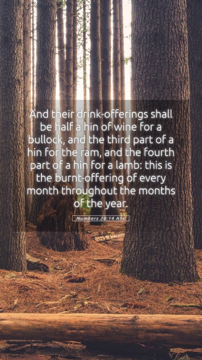 Picture 05 - Numbers 28:14 ASV Mobile Phone Wallpaper - And their drink-offerings shall be half a hin of - Mobile Bible Verse Wallpaper