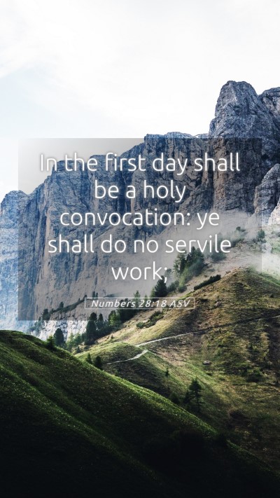 Picture 05 - Numbers 28:18 ASV Mobile Phone Wallpaper - In the first day shall be a holy convocation: ye - Mobile Bible Verse Wallpaper