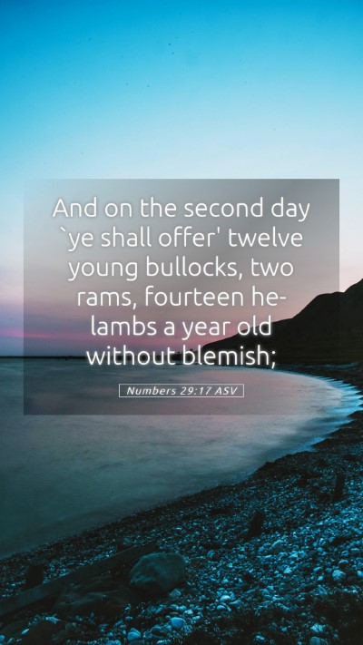 Picture 05 - Numbers 29:17 ASV Mobile Phone Wallpaper - And on the second day `ye shall offer' twelve - Mobile Bible Verse Wallpaper