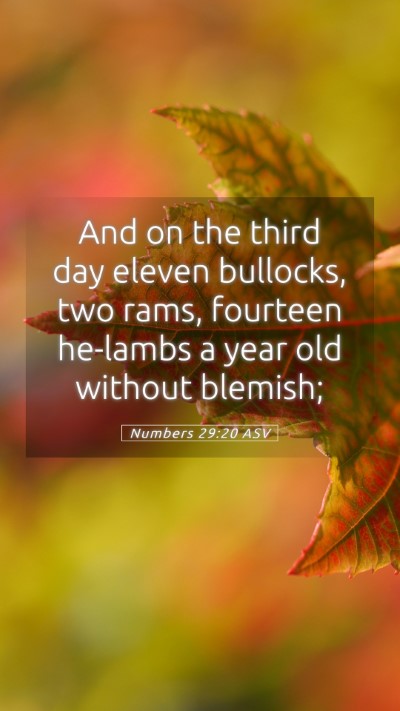 Picture 05 - Numbers 29:20 ASV Mobile Phone Wallpaper - And on the third day eleven bullocks, two rams, - Mobile Bible Verse Wallpaper