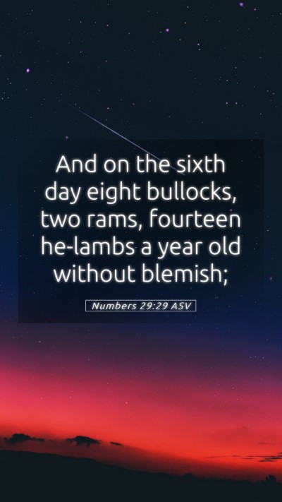 Picture 05 - Numbers 29:29 ASV Mobile Phone Wallpaper - And on the sixth day eight bullocks, two rams, - Mobile Bible Verse Wallpaper