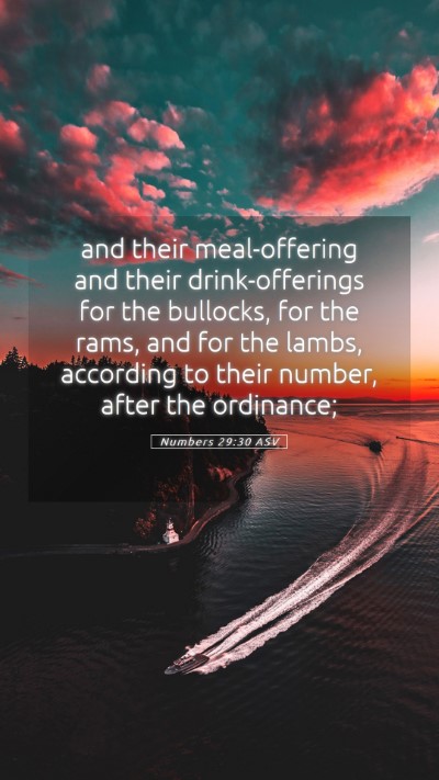 Picture 05 - Numbers 29:30 ASV Mobile Phone Wallpaper - and their meal-offering and their drink-offerings - Mobile Bible Verse Wallpaper