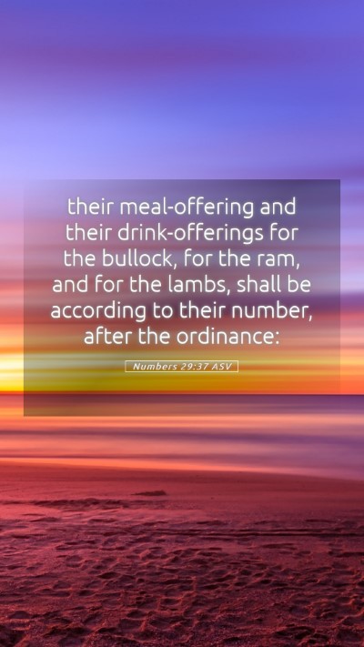 Picture 05 - Numbers 29:37 ASV Mobile Phone Wallpaper - their meal-offering and their drink-offerings for - Mobile Bible Verse Wallpaper