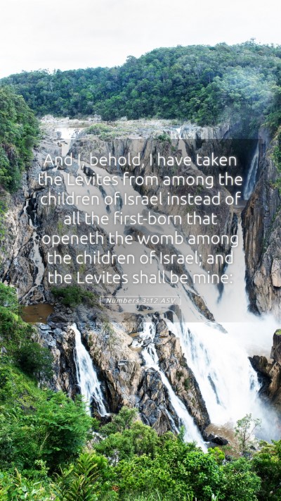 Picture 05 - Numbers 3:12 ASV Mobile Phone Wallpaper - And I, behold, I have taken the Levites from - Mobile Bible Verse Wallpaper