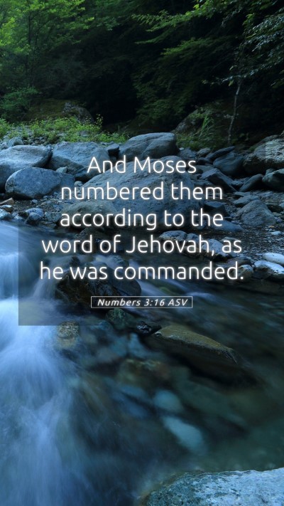 Picture 05 - Numbers 3:16 ASV Mobile Phone Wallpaper - And Moses numbered them according to the word of - Mobile Bible Verse Wallpaper