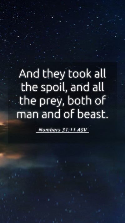 Picture 05 - Numbers 31:11 ASV Mobile Phone Wallpaper - And they took all the spoil, and all the prey, - Mobile Bible Verse Wallpaper