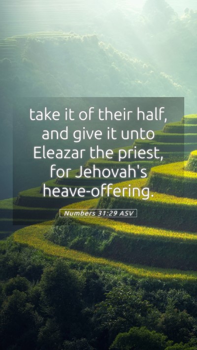 Picture 05 - Numbers 31:29 ASV Mobile Phone Wallpaper - take it of their half, and give it unto Eleazar - Mobile Bible Verse Wallpaper