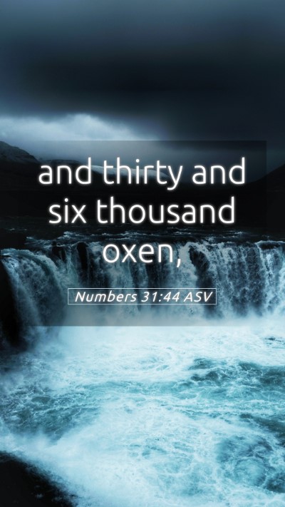 Picture 05 - Numbers 31:44 ASV Mobile Phone Wallpaper - and thirty and six thousand - Mobile Bible Verse Wallpaper