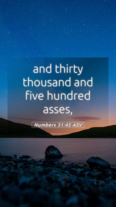Picture 05 - Numbers 31:45 ASV Mobile Phone Wallpaper - and thirty thousand and five hundred - Mobile Bible Verse Wallpaper