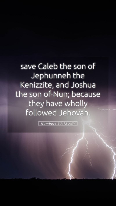 Picture 05 - Numbers 32:12 ASV Mobile Phone Wallpaper - save Caleb the son of Jephunneh the Kenizzite, - Mobile Bible Verse Wallpaper