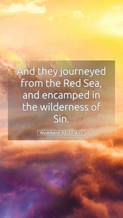 Picture 05 - Numbers 33:11 ASV Mobile Phone Wallpaper - And they journeyed from the Red Sea, and encamped - Mobile Bible Verse Wallpaper
