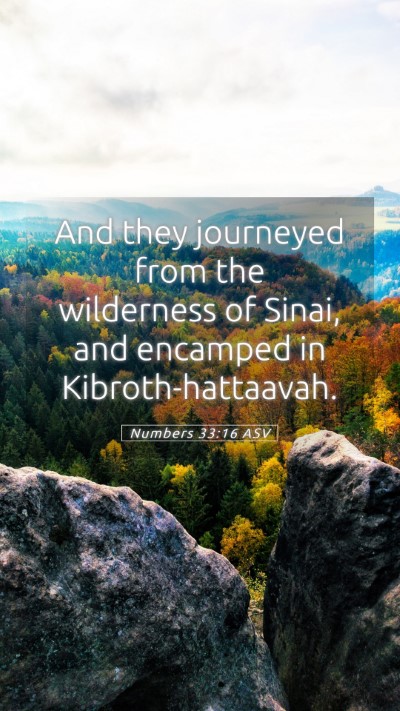 Picture 05 - Numbers 33:16 ASV Mobile Phone Wallpaper - And they journeyed from the wilderness of Sinai, - Mobile Bible Verse Wallpaper