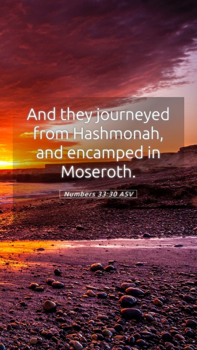 Picture 05 - Numbers 33:30 ASV Mobile Phone Wallpaper - And they journeyed from Hashmonah, and encamped - Mobile Bible Verse Wallpaper