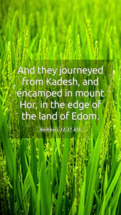 Picture 05 - Numbers 33:37 ASV Mobile Phone Wallpaper - And they journeyed from Kadesh, and encamped in - Mobile Bible Verse Wallpaper