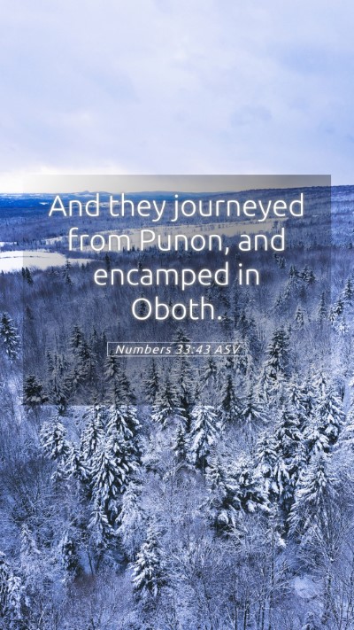 Picture 05 - Numbers 33:43 ASV Mobile Phone Wallpaper - And they journeyed from Punon, and encamped in - Mobile Bible Verse Wallpaper