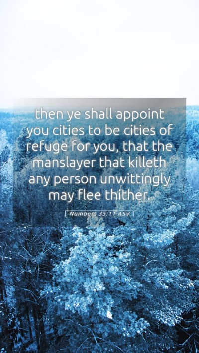 Picture 05 - Numbers 35:11 ASV Mobile Phone Wallpaper - then ye shall appoint you cities to be cities of - Mobile Bible Verse Wallpaper