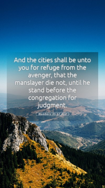 Picture 05 - Numbers 35:12 ASV Mobile Phone Wallpaper - And the cities shall be unto you for refuge from - Mobile Bible Verse Wallpaper
