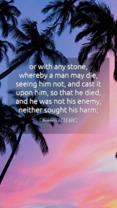 Picture 05 - Numbers 35:23 ASV Mobile Phone Wallpaper - or with any stone, whereby a man may die, seeing - Mobile Bible Verse Wallpaper