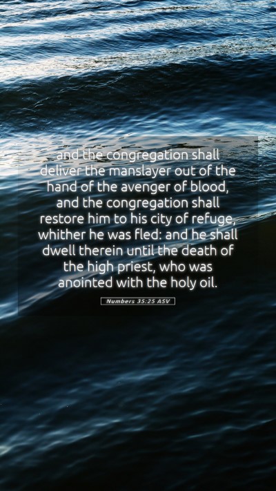 Picture 05 - Numbers 35:25 ASV Mobile Phone Wallpaper - and the congregation shall deliver the manslayer - Mobile Bible Verse Wallpaper