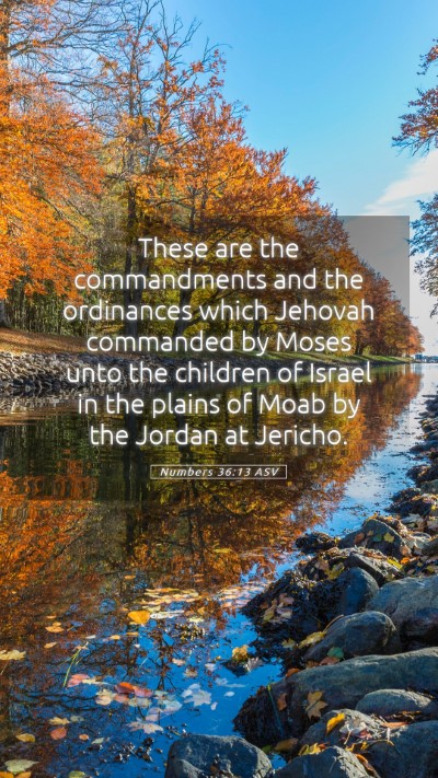 Picture 05 - Numbers 36:13 ASV Mobile Phone Wallpaper - These are the commandments and the ordinances - Mobile Bible Verse Wallpaper