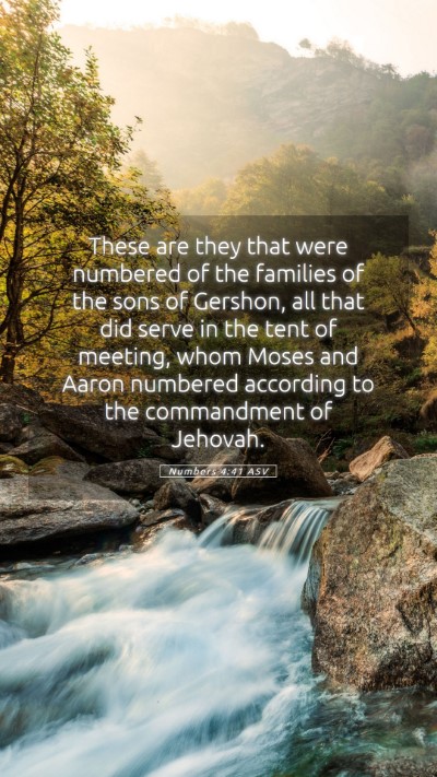 Picture 05 - Numbers 4:41 ASV Mobile Phone Wallpaper - These are they that were numbered of the families - Mobile Bible Verse Wallpaper