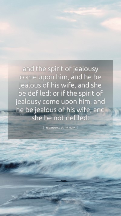 Picture 05 - Numbers 5:14 ASV Mobile Phone Wallpaper - and the spirit of jealousy come upon him, and he - Mobile Bible Verse Wallpaper