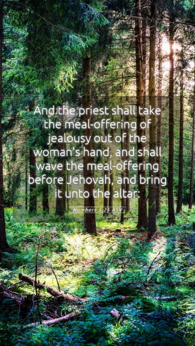 Picture 05 - Numbers 5:25 ASV Mobile Phone Wallpaper - And the priest shall take the meal-offering of - Mobile Bible Verse Wallpaper