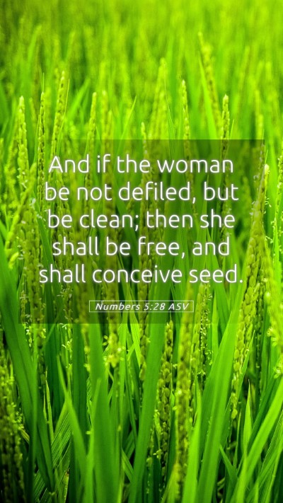 Picture 05 - Numbers 5:28 ASV Mobile Phone Wallpaper - And if the woman be not defiled, but be clean; - Mobile Bible Verse Wallpaper