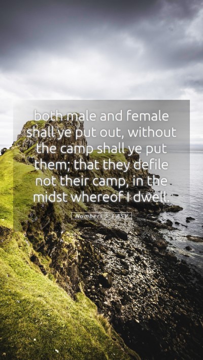 Picture 05 - Numbers 5:3 ASV Mobile Phone Wallpaper - both male and female shall ye put out, without - Mobile Bible Verse Wallpaper