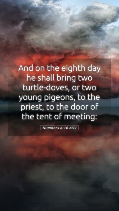 Picture 05 - Numbers 6:10 ASV Mobile Phone Wallpaper - And on the eighth day he shall bring two - Mobile Bible Verse Wallpaper