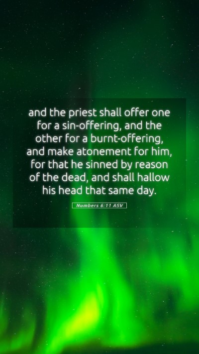 Picture 05 - Numbers 6:11 ASV Mobile Phone Wallpaper - and the priest shall offer one for a - Mobile Bible Verse Wallpaper